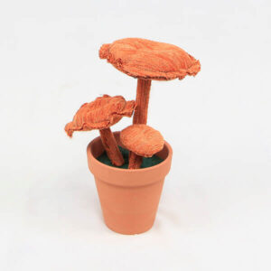 Planta de tela ROVELLON de tela